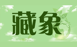 藏象
