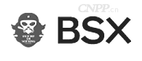 BSX