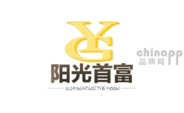 阳光首富