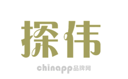 探伟